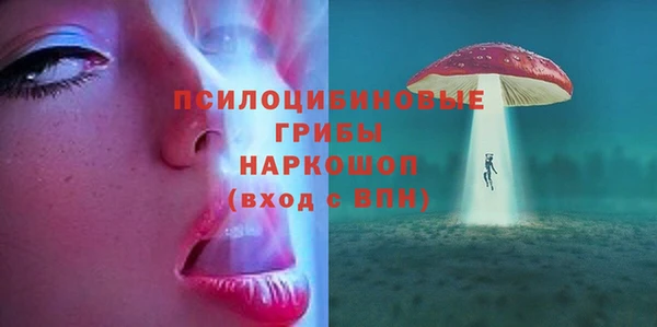 мдпв Верея